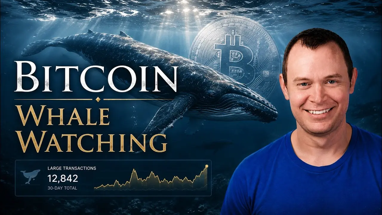 Bitcoin Whale Watching